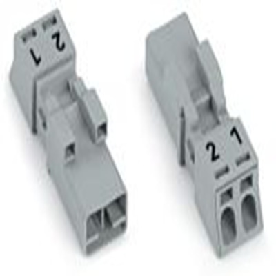 890-252 WAGO product image